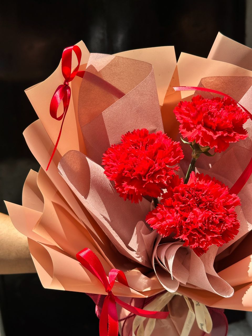 Red Fresh Carnation Bouquet