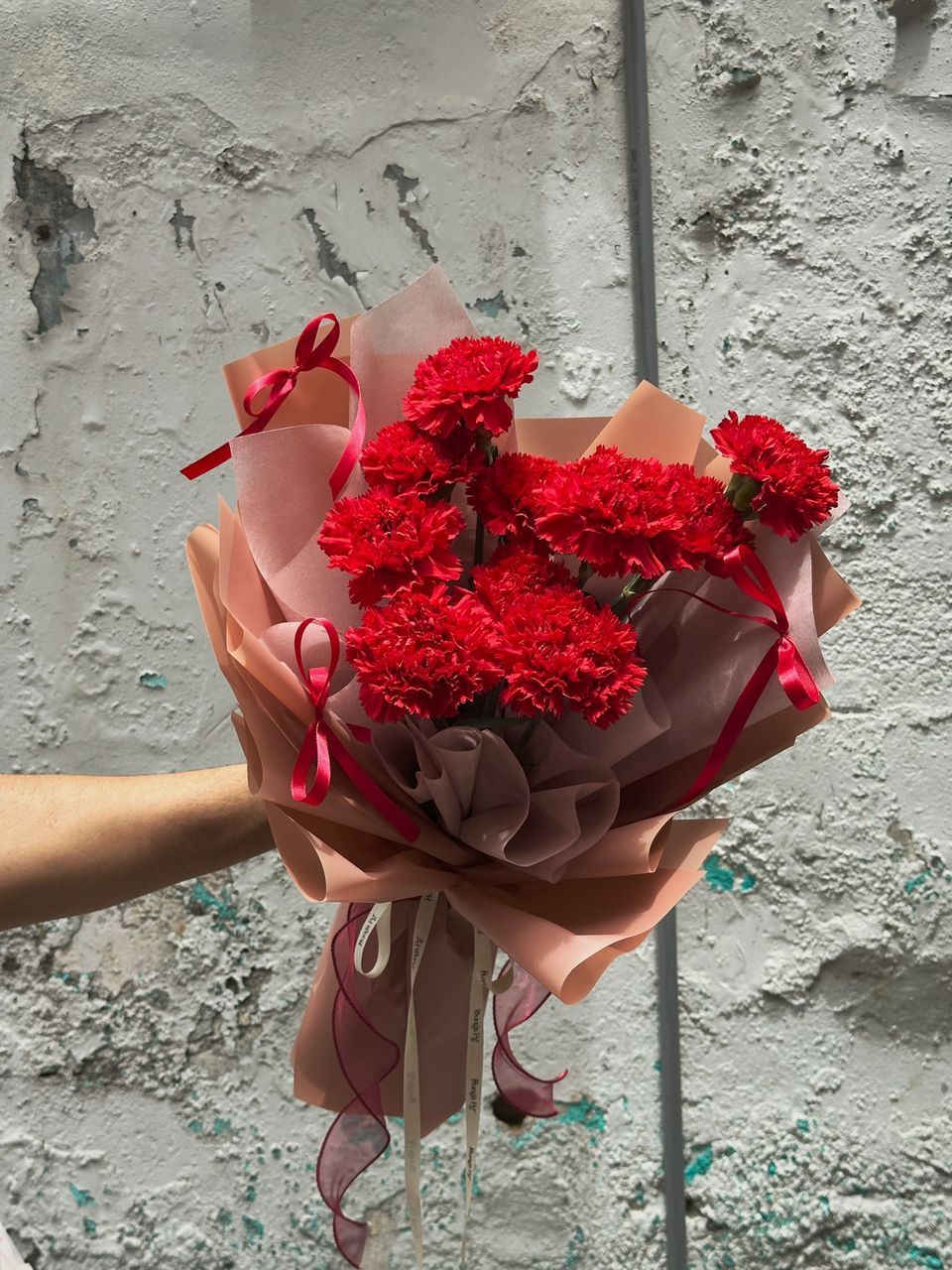 Red Fresh Carnation Bouquet