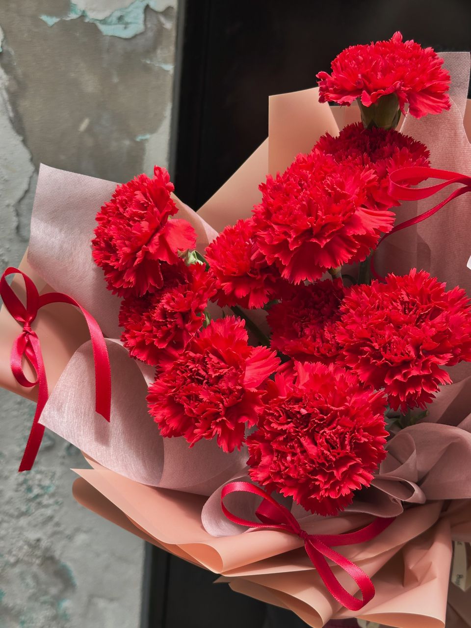 Red Fresh Carnation Bouquet