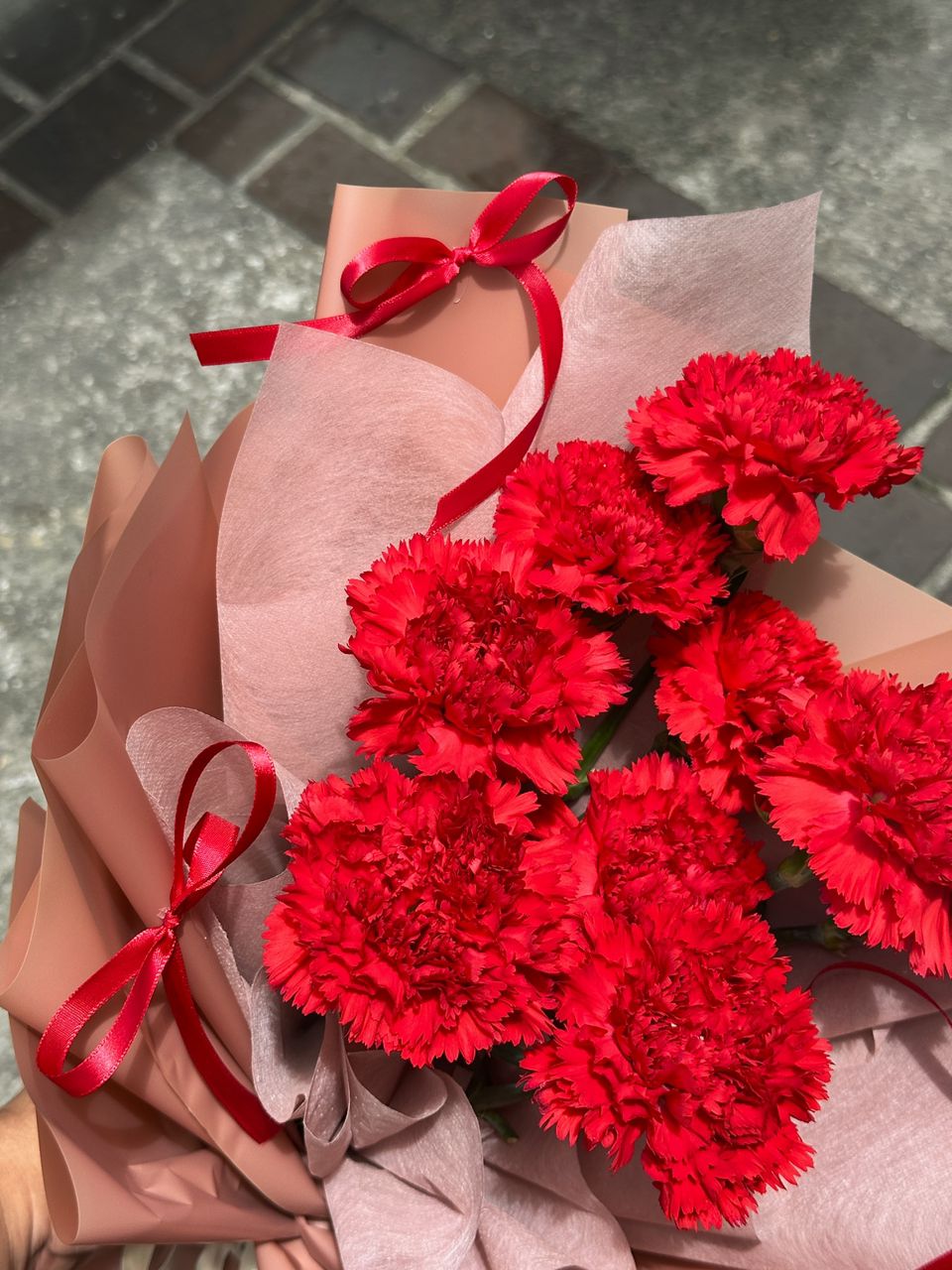Red Fresh Carnation Bouquet